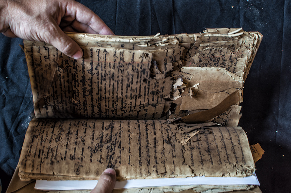 Insect-Damaged Manuscript