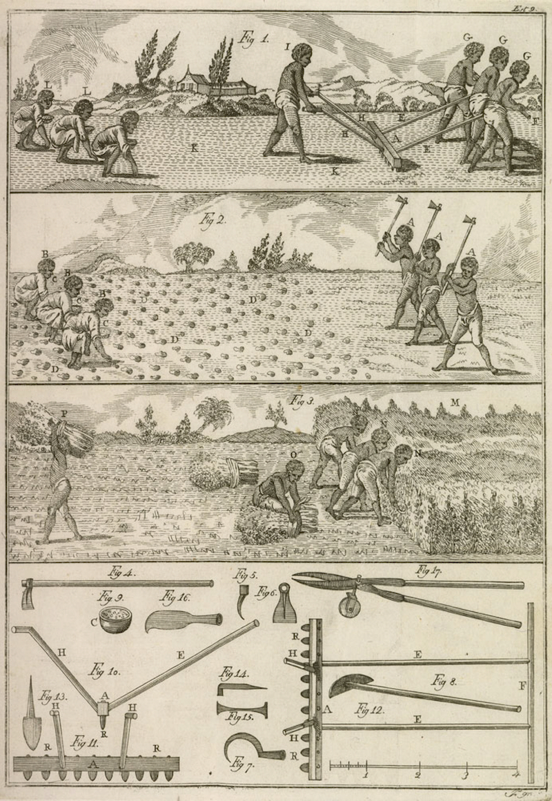 "Récolte de l