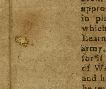 Unexpected marginalia: a bug