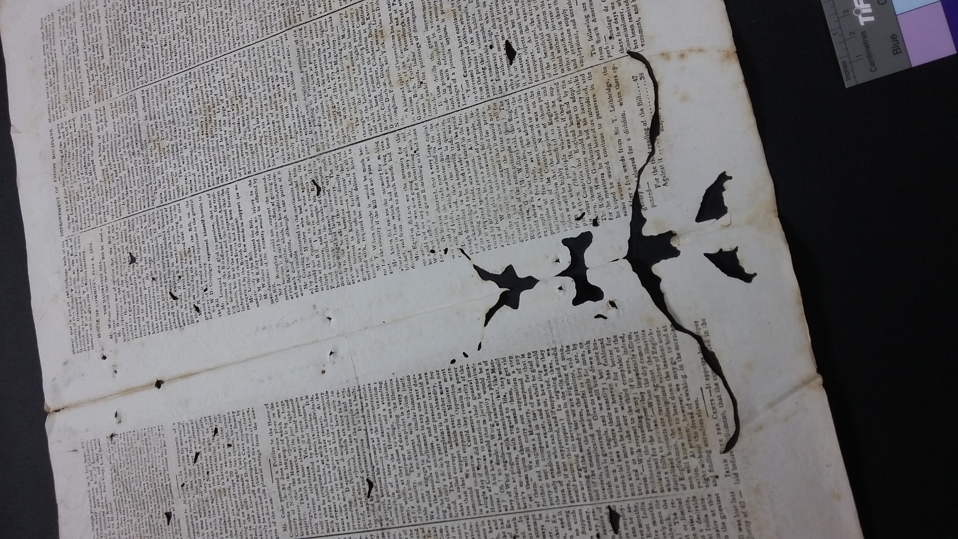 Trails made by hungry, wandering bookworms