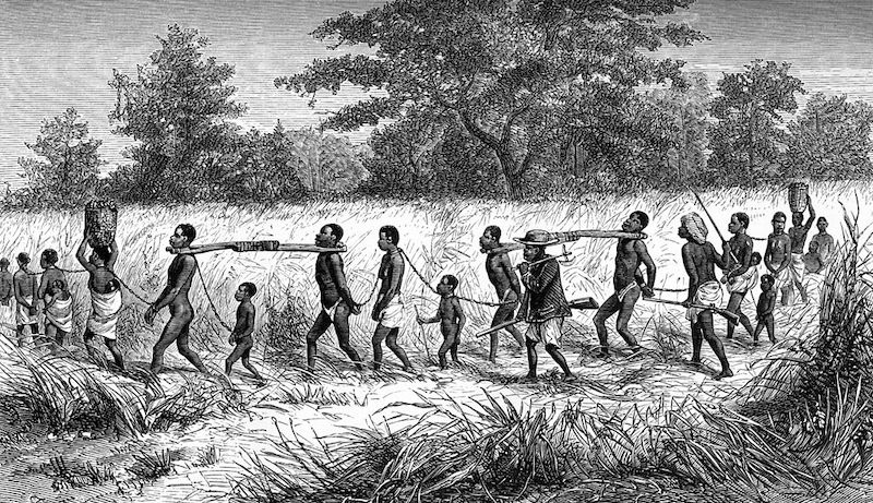 Etching from Livingstone's Narrative of an Expedition