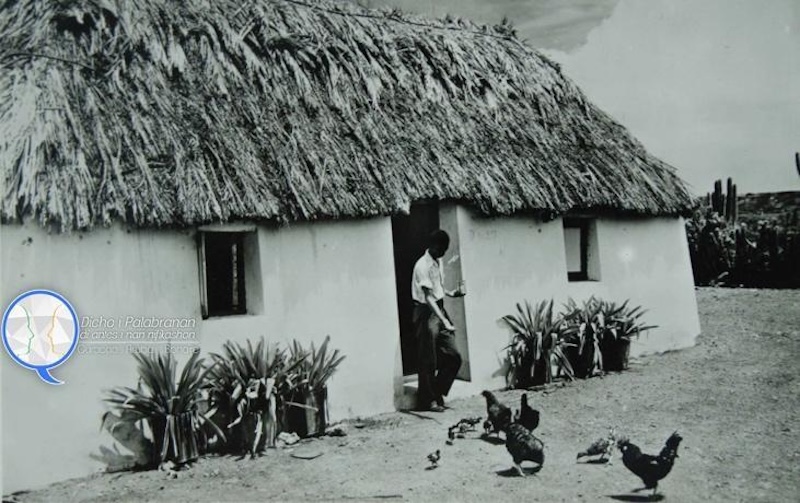 A man feeding chickens outside the front door of his kunuku home