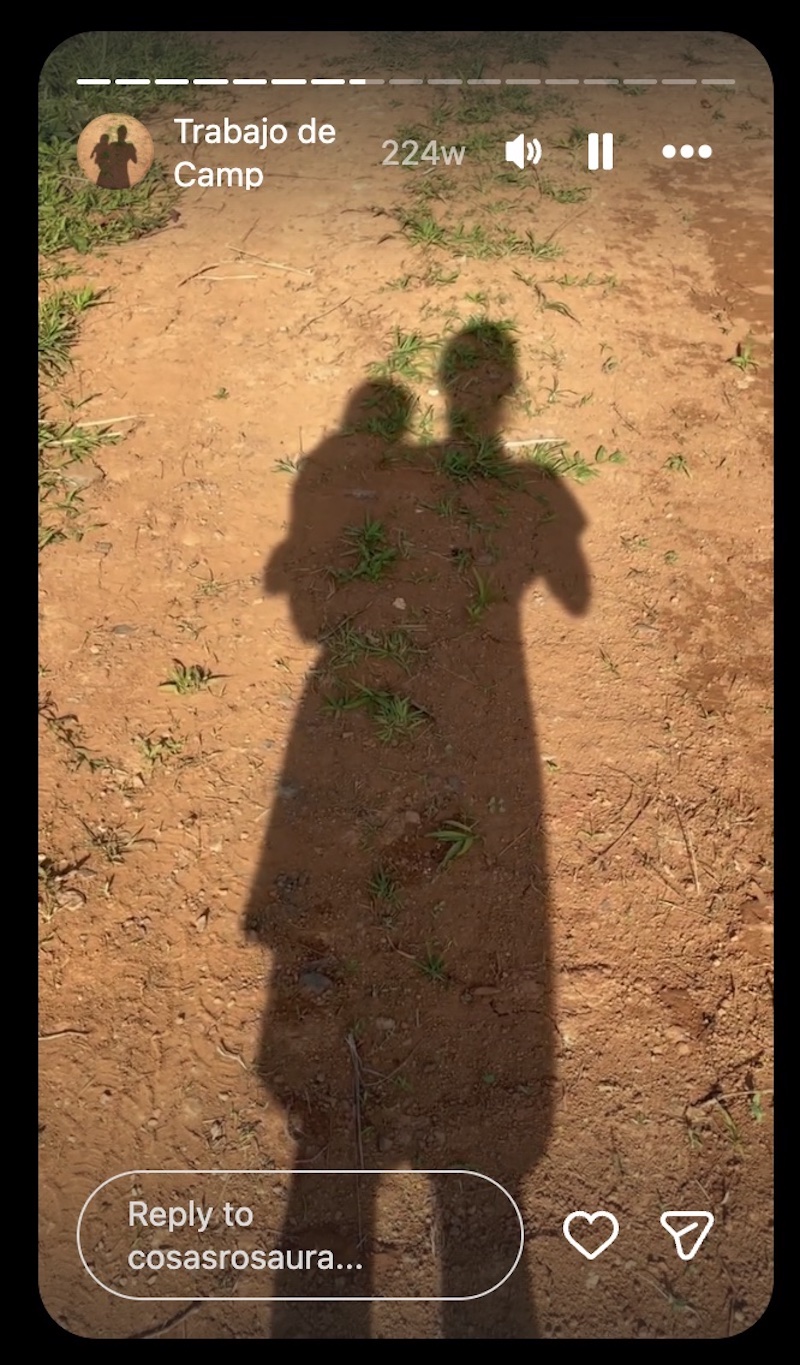 Silhouette Story