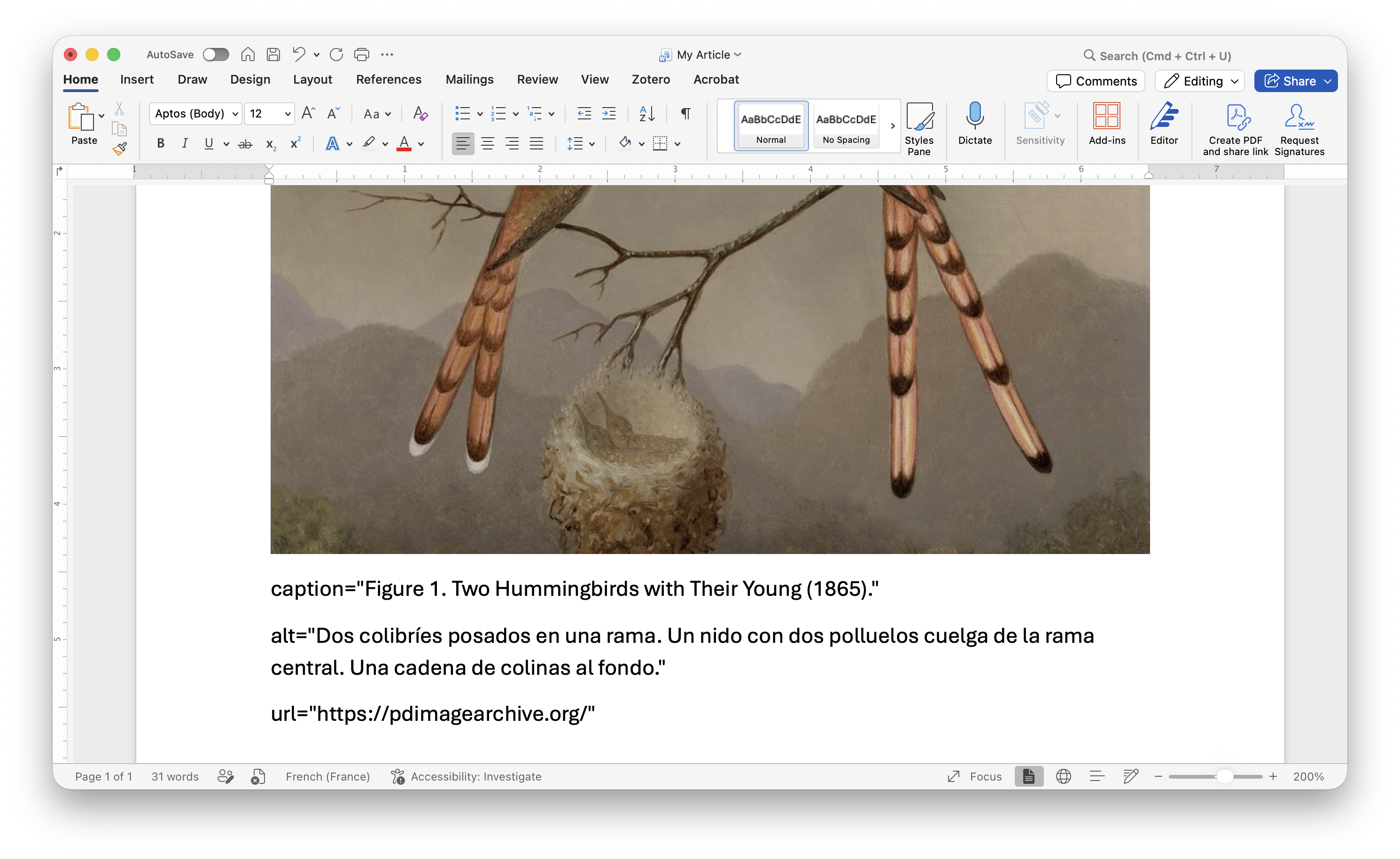 Ejemplo de una foto insertada en un documento de Word seguida de los campos de texto caption, alt y url opcional