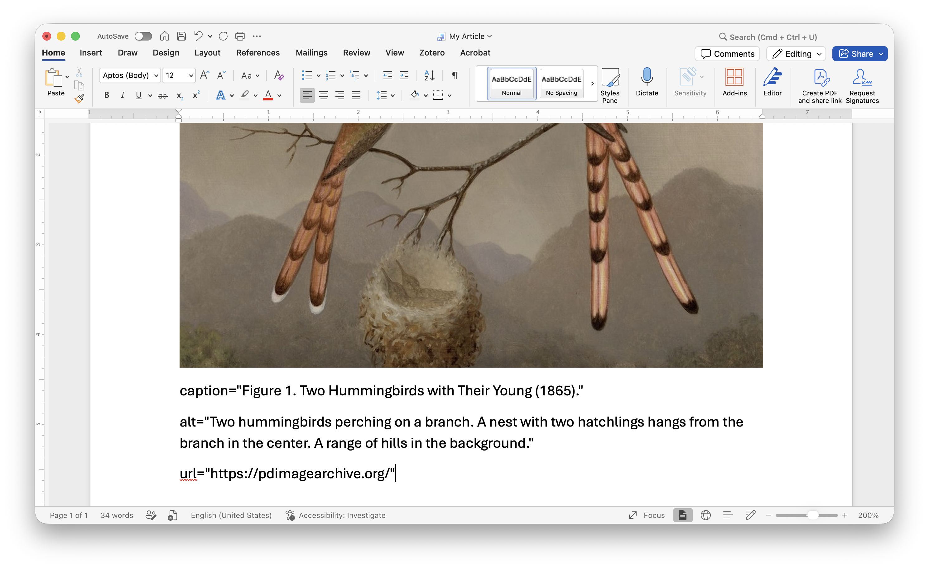 Example of an inserted photo on a Word Document followed by caption, alt, and optional url text fields
